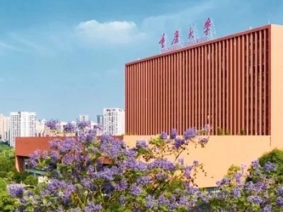 重庆大学城有哪些高校？