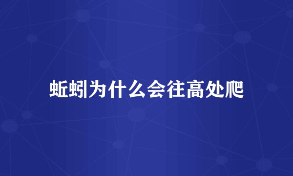 蚯蚓为什么会往高处爬