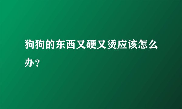 狗狗的东西又硬又烫应该怎么办？