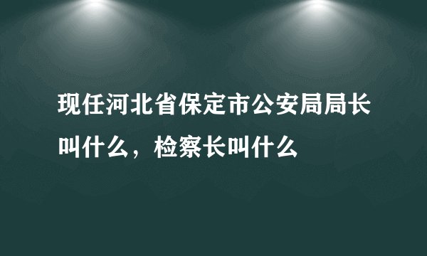 现任河北省保定市公安局局长叫什么，检察长叫什么
