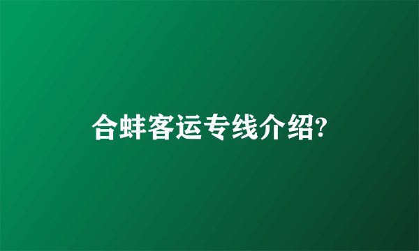 合蚌客运专线介绍?