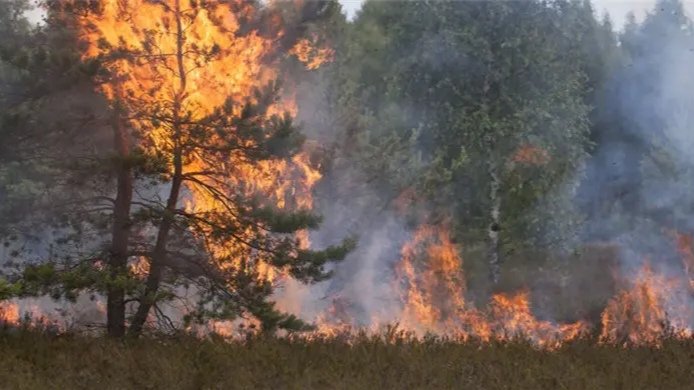 美国山火葛延至6州，给这6州造成了哪些影响？