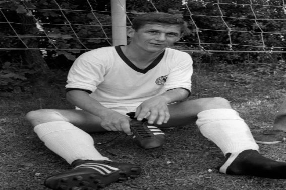 1934年意大利世界杯的最佳射手是