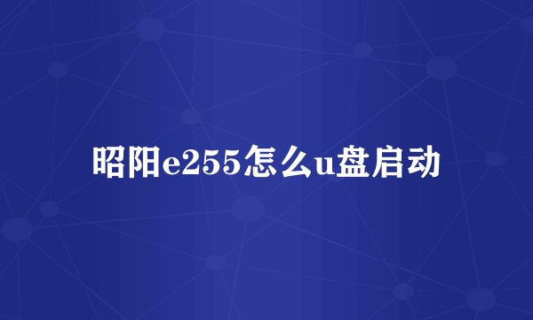 昭阳e255怎么u盘启动