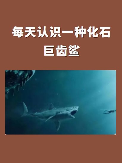 如何评价巨齿鲨?