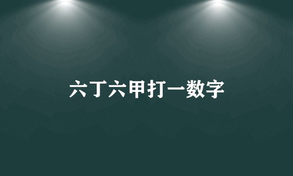 六丁六甲打一数字