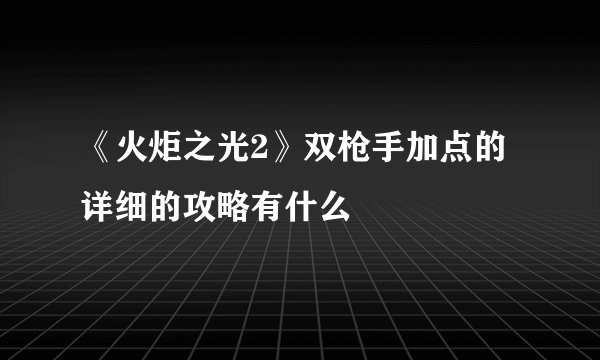 《火炬之光2》双枪手加点的详细的攻略有什么