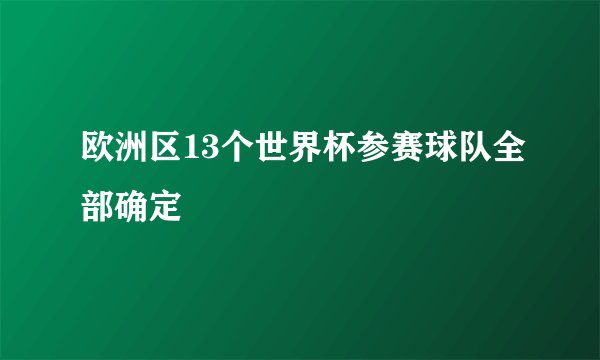 欧洲区13个世界杯参赛球队全部确定