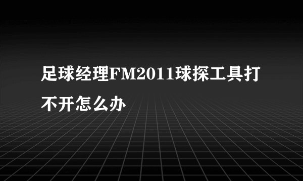 足球经理FM2011球探工具打不开怎么办