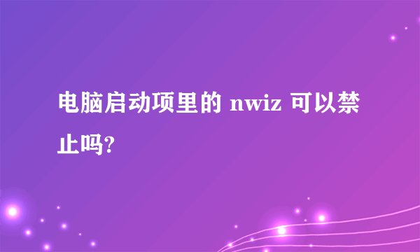 电脑启动项里的 nwiz 可以禁止吗?