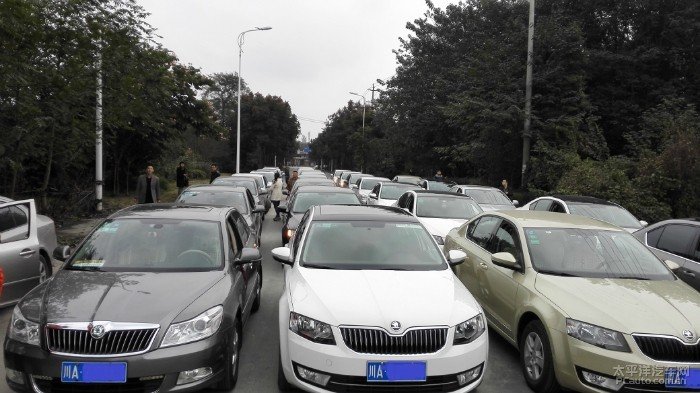 斯柯达明锐车友会的介绍