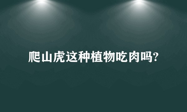 爬山虎这种植物吃肉吗?