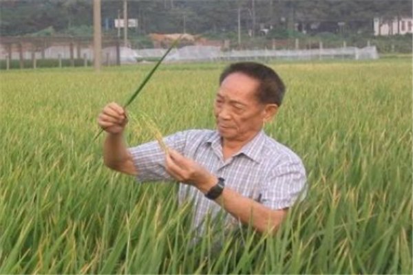 长沙的外卖单全是鲜花，为什么长沙对袁老的感情如此深?