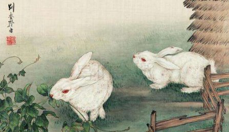 雄兔脚扑朔,雌兔眼迷离;双兔傍地走,安能辨我是雄雌?怎么理解？有何作用