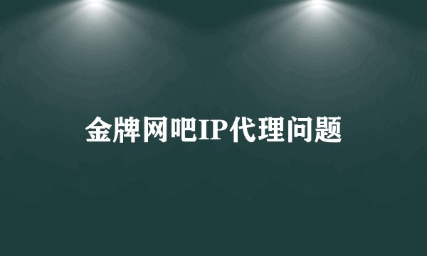 金牌网吧IP代理问题