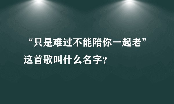 “只是难过不能陪你一起老”这首歌叫什么名字？