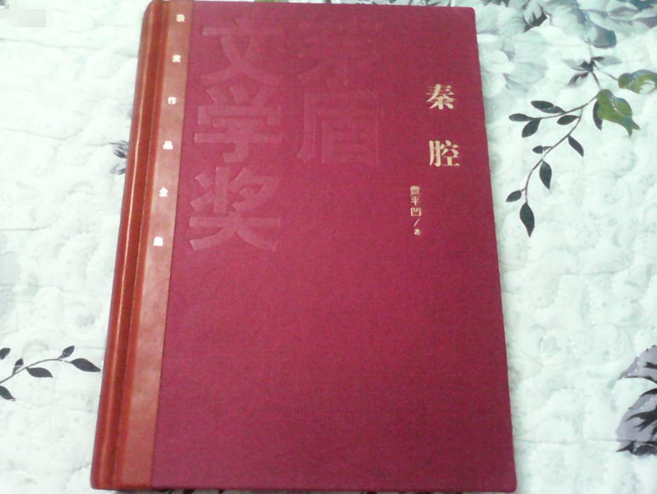 贾平凹十大经典作品