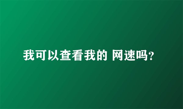 我可以查看我的 网速吗？