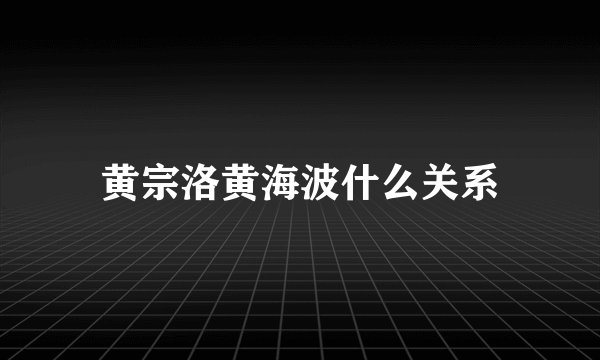 黄宗洛黄海波什么关系