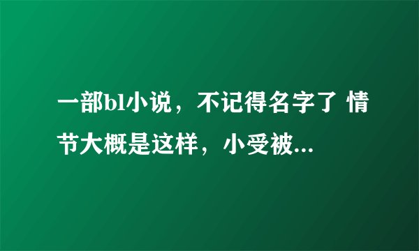 一部bl小说，不记得名字了 情节大概是这样，小受被人当成女的从青楼里拐出来塞进花轿嫁给了王爷（或