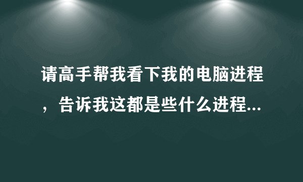 请高手帮我看下我的电脑进程,告诉我这都是些什么进程?有没有毒?谢谢!!本人是超级菜鸟!!