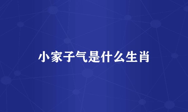 小家子气是什么生肖