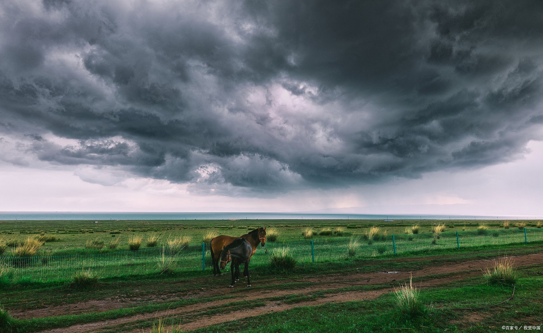 重庆多地暴雨，超市积水齐腰，这对当地居民们的生活有何影响？