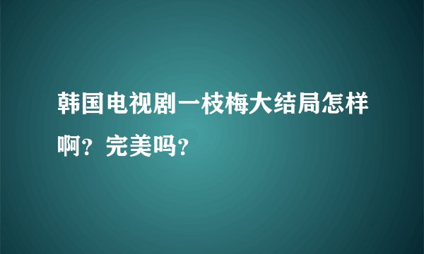 韩国电视剧一枝梅大结局怎样啊？完美吗？