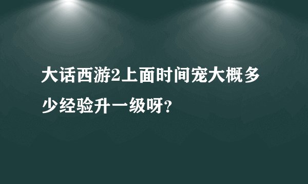 大话西游2上面时间宠大概多少经验升一级呀？