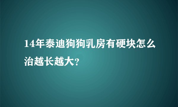 14年泰迪狗狗乳房有硬块怎么治越长越大？
