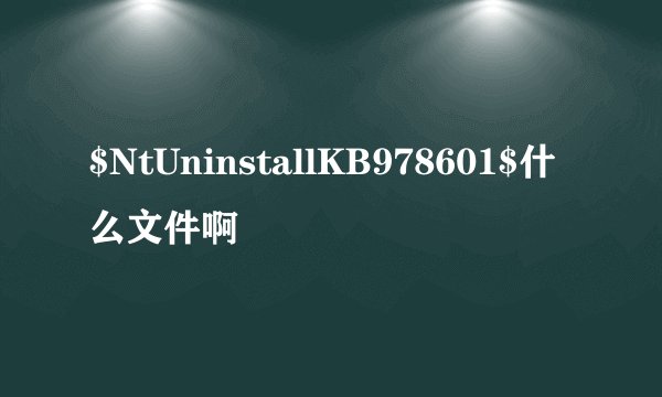 $NtUninstallKB978601$什么文件啊