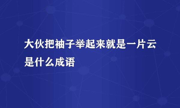 大伙把袖子举起来就是一片云是什么成语