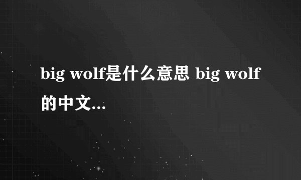 big wolf是什么意思 big wolf的中文翻译、读音、例句？