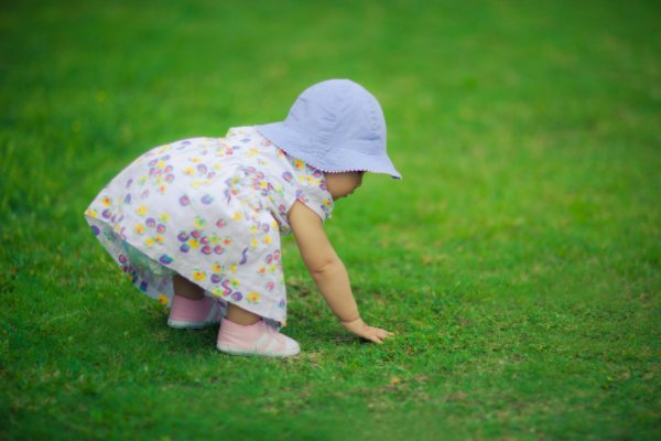 人留后代草留根的顺口溜