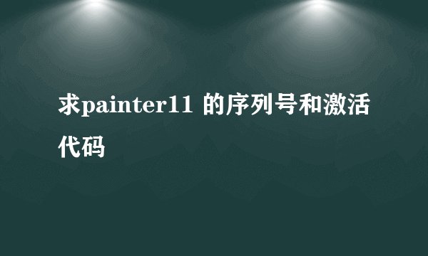 求painter11 的序列号和激活代码
