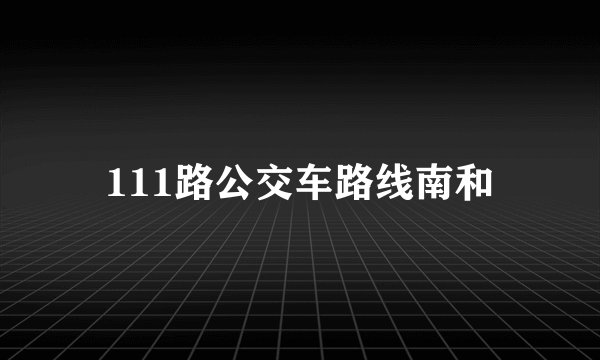 111路公交车路线南和