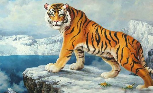 走漏风声是什么生肖