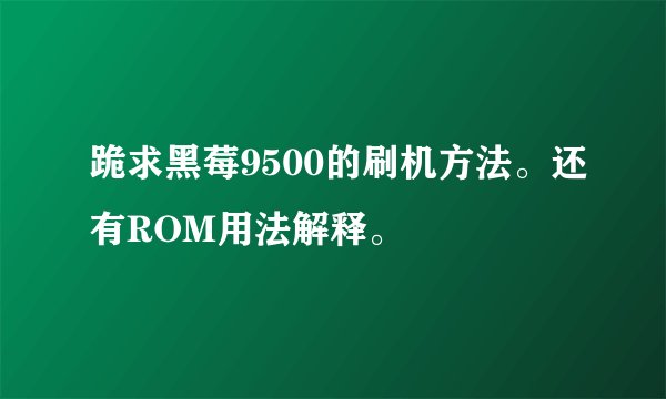 跪求黑莓9500的刷机方法。还有ROM用法解释。