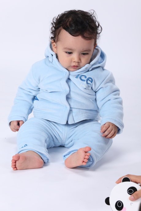 莱贝吉的名字译意