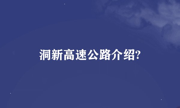洞新高速公路介绍?