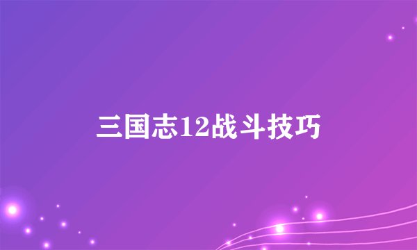 三国志12战斗技巧
