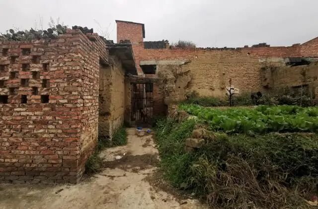 关于云南姐妹俩被妹妹前夫刀刺身亡一事,你有何看法?