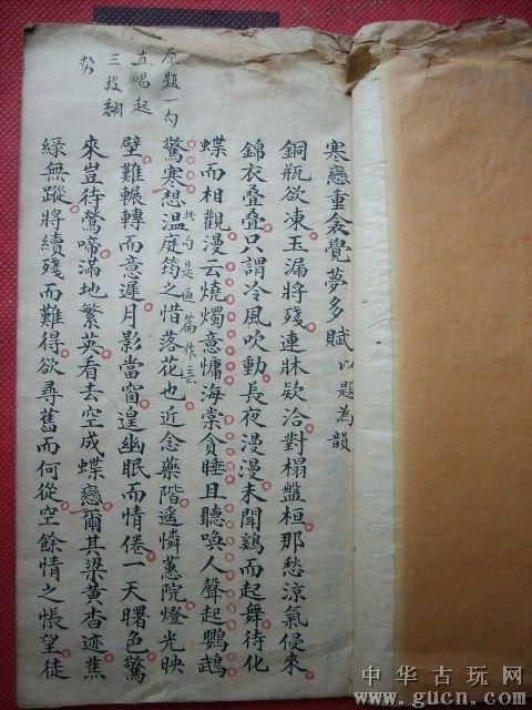 辛酉邪狱的影响