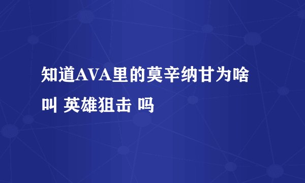 知道AVA里的莫辛纳甘为啥叫 英雄狙击 吗