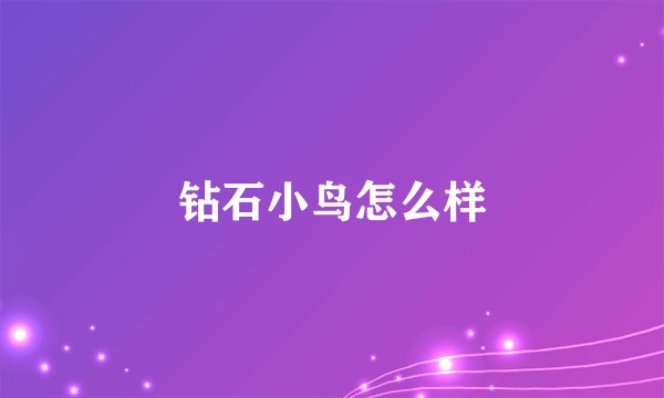 钻石小鸟怎么样