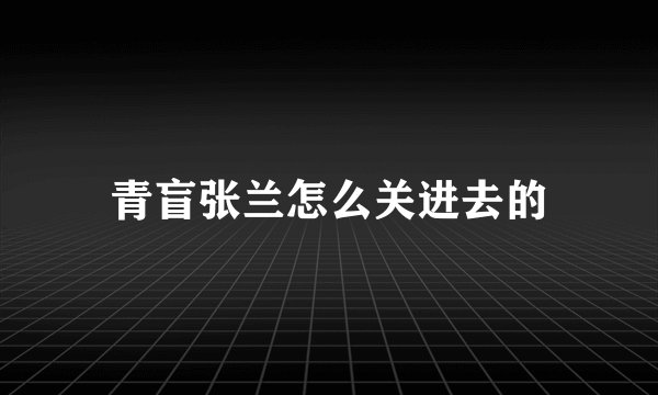 青盲张兰怎么关进去的