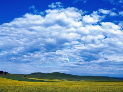 天空分外蓝白云像轻纱一样在蓝天飘荡修改病句？