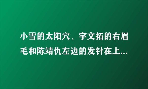 小雪的太阳穴、宇文拓的右眉毛和陈靖仇左边的发针在上古神器2找不同中是如何标识的？