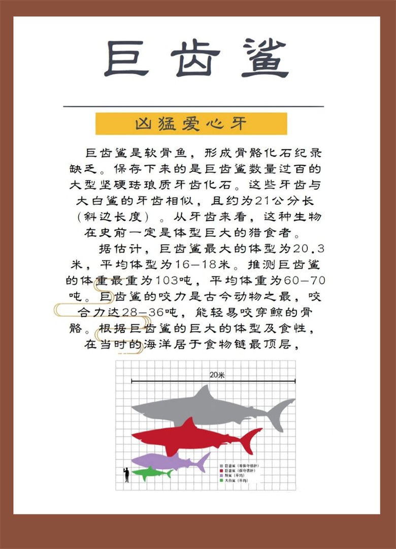 如何评价巨齿鲨?