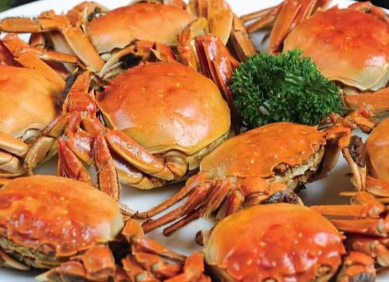 酒精真能把醉蟹里的细菌杀死吗？